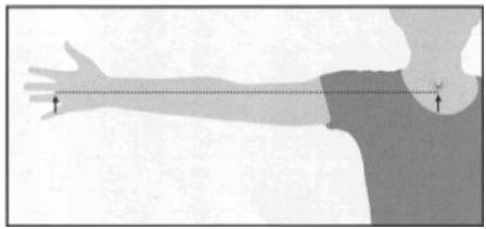 Image removed.